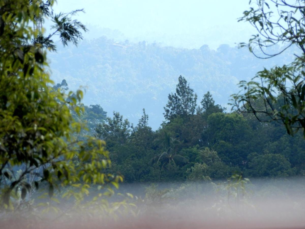 Drizzle Valley Cottage Munnar Zewnętrze zdjęcie