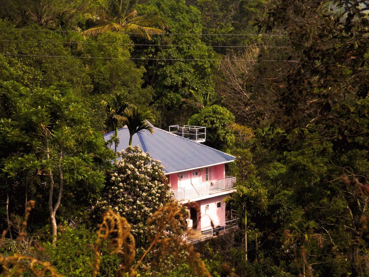 Drizzle Valley Cottage Munnar Zewnętrze zdjęcie